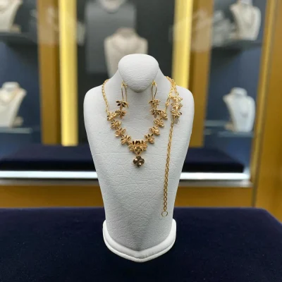 سرویس نسیم طلایی دوریکا